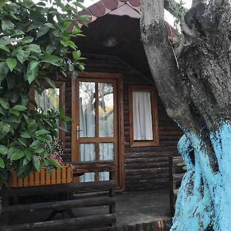 Zeytindagi Bungalow Mehmetalani Exteriör bild
