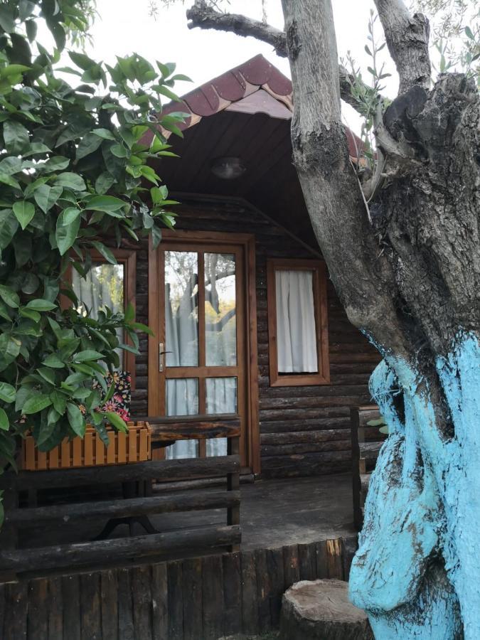 Zeytindagi Bungalow Mehmetalani Exteriör bild
