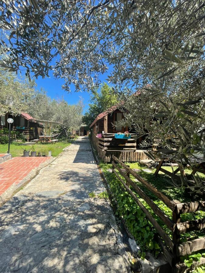 Zeytindagi Bungalow Mehmetalani Exteriör bild