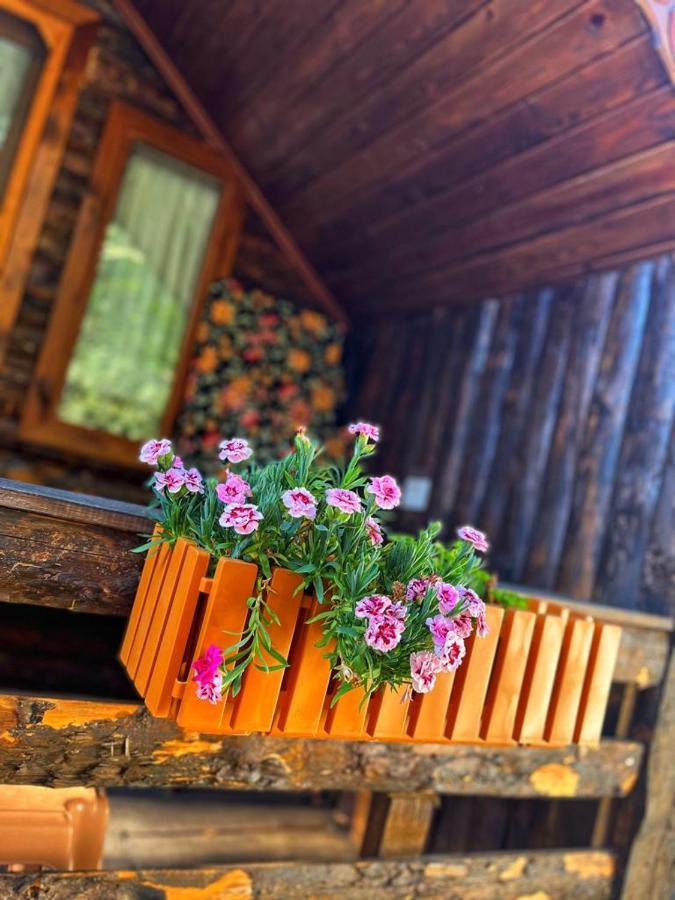 Zeytindagi Bungalow Mehmetalani Exteriör bild