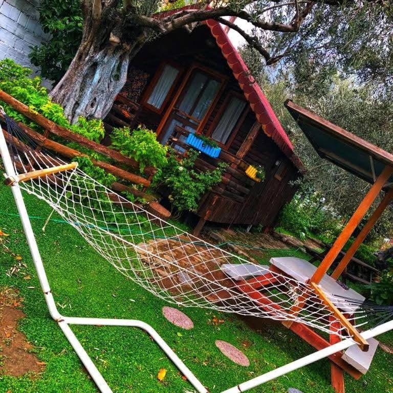 Zeytindagi Bungalow Mehmetalani Exteriör bild