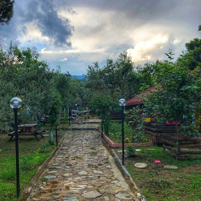 Zeytindagi Bungalow Mehmetalani Exteriör bild