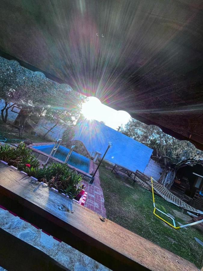 Zeytindagi Bungalow Mehmetalani Exteriör bild