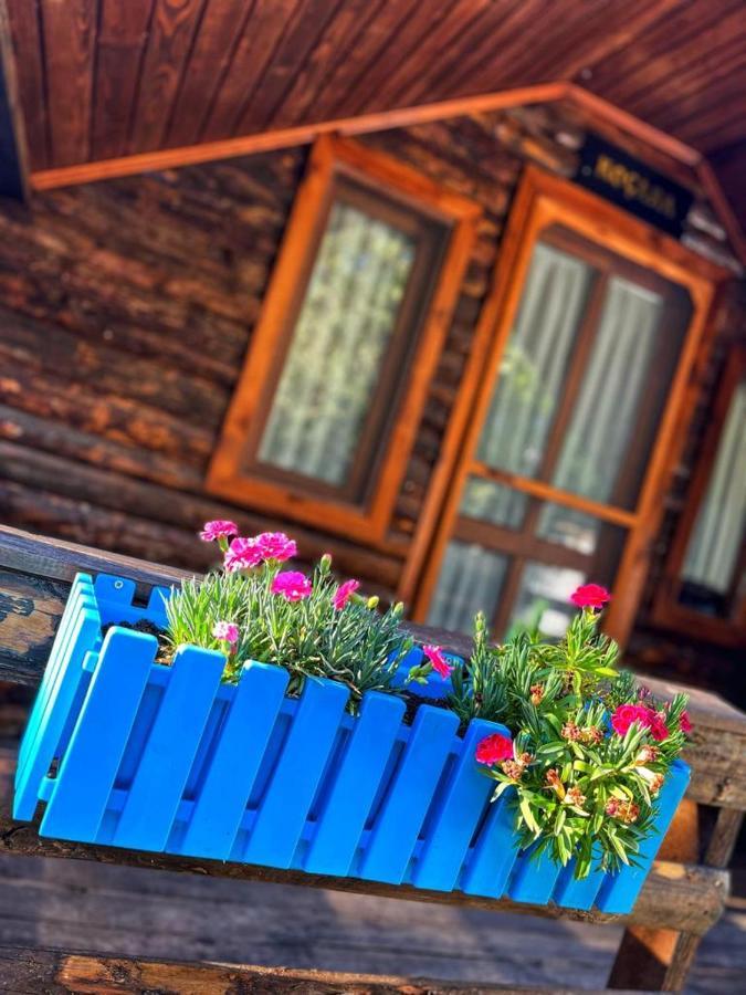 Zeytindagi Bungalow Mehmetalani Exteriör bild