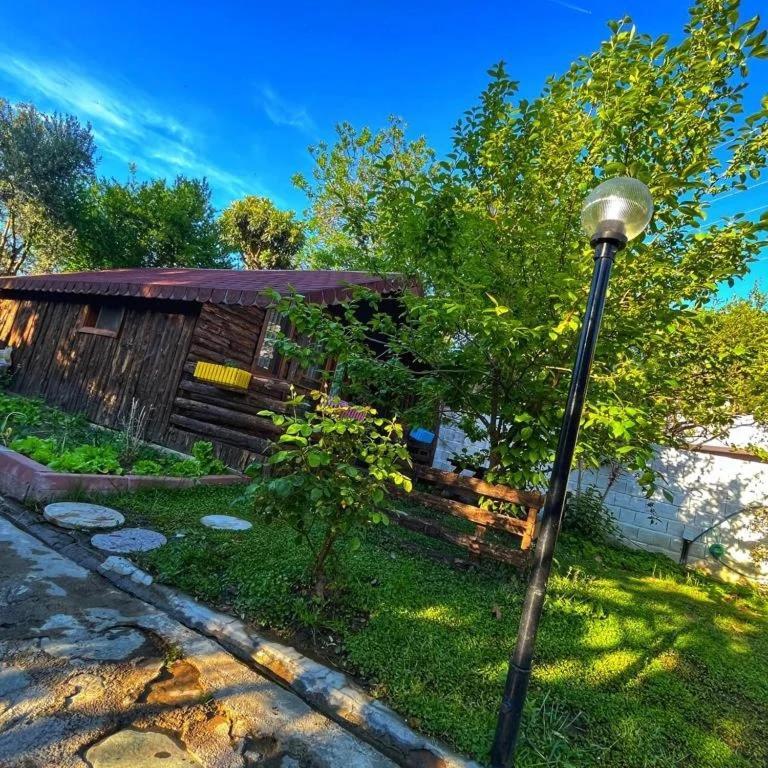 Zeytindagi Bungalow Mehmetalani Exteriör bild