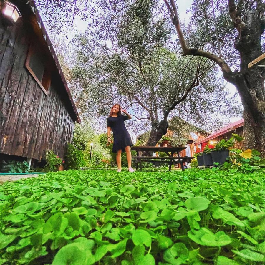 Zeytindagi Bungalow Mehmetalani Exteriör bild