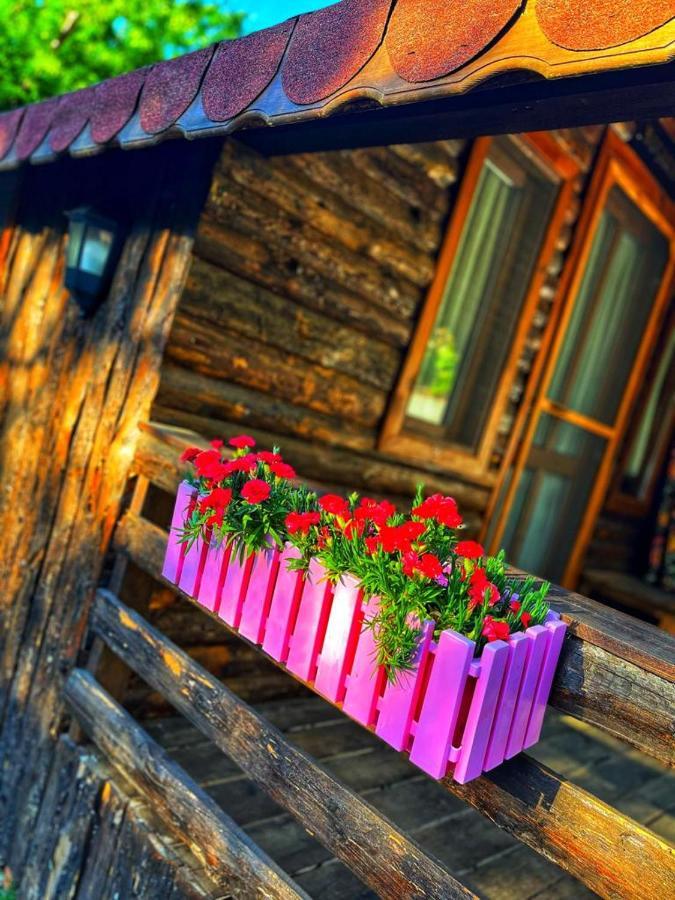 Zeytindagi Bungalow Mehmetalani Exteriör bild