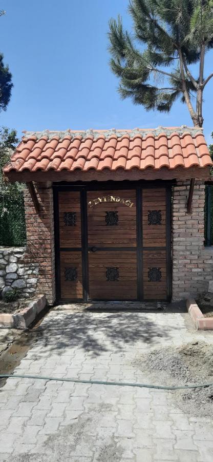 Zeytindagi Bungalow Mehmetalani Exteriör bild